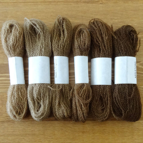 Crewel Wool Color Range, “Fawn”